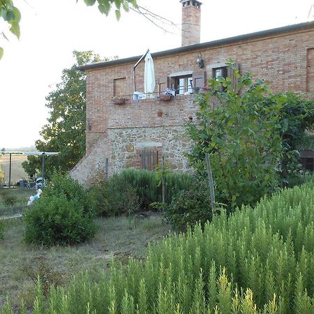 Agriturismo Santa Maria Torrita di Siena Exteriér fotografie
