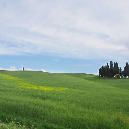 Agriturismo Santa Maria Torrita di Siena Exteriér fotografie