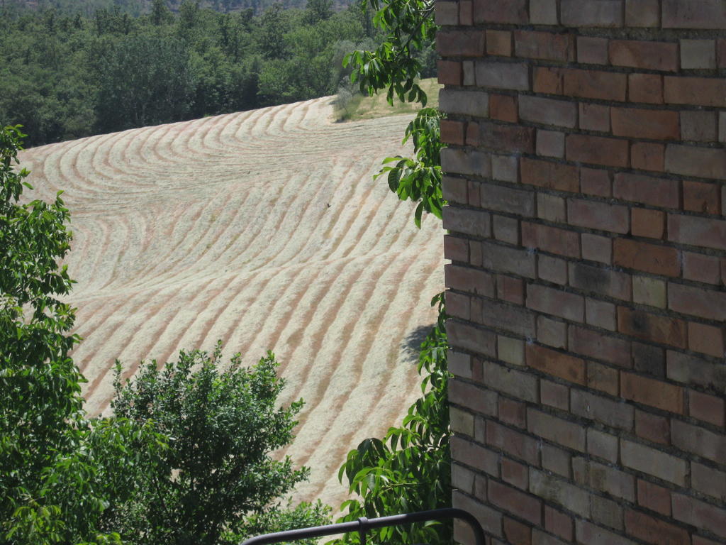 Agriturismo Santa Maria Torrita di Siena Exteriér fotografie