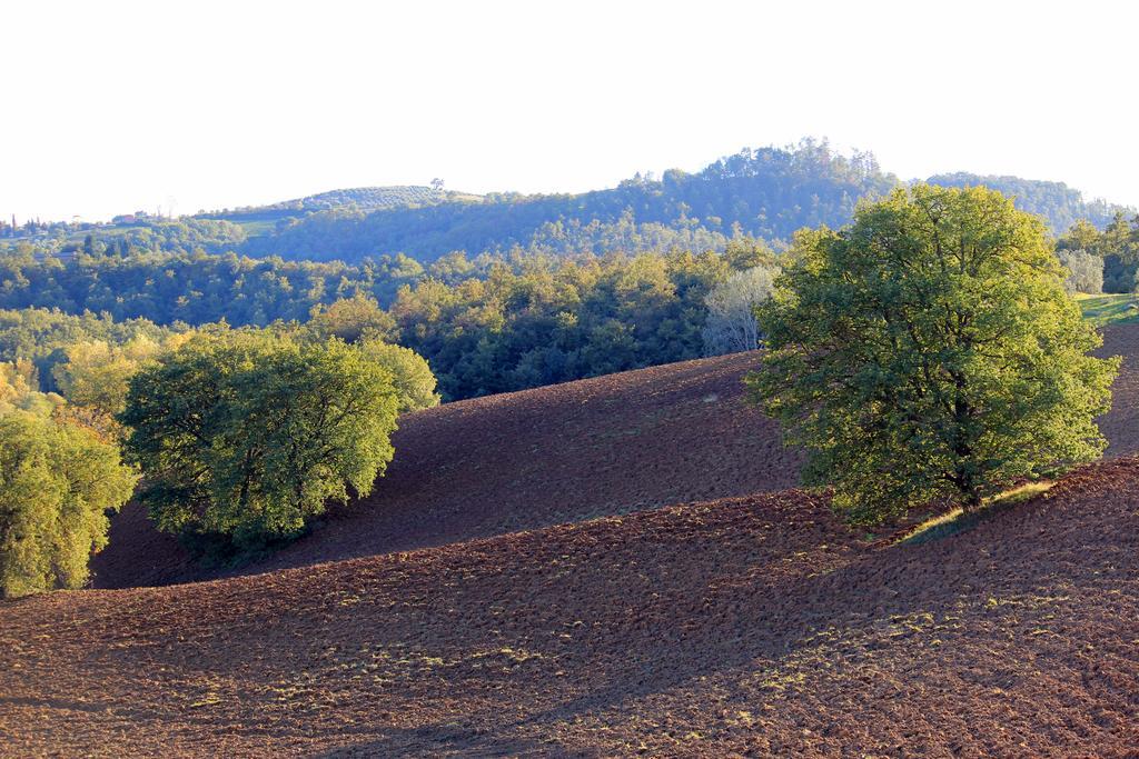 Agriturismo Santa Maria Torrita di Siena Exteriér fotografie