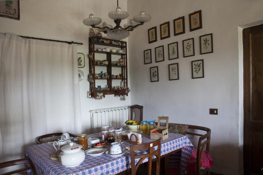 Agriturismo Santa Maria Torrita di Siena Exteriér fotografie