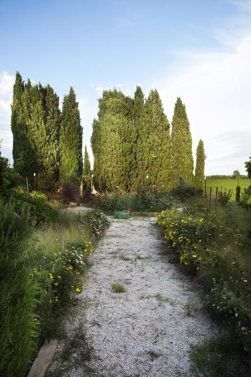 Agriturismo Santa Maria Torrita di Siena Exteriér fotografie