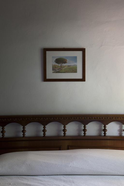 Agriturismo Santa Maria Torrita di Siena Exteriér fotografie